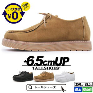 V[NbgV[Y  Xj[J[ g[V[Y 6.5cm gAbv g グ V[NbgC Y