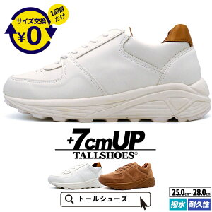 V[NbgV[Y Y Xj[J[ 7cmUP  g[V[Y TALLSHOES  y ϋv ʋC zCg uE gAbv wȂC Xj[J[ JWA lC v[