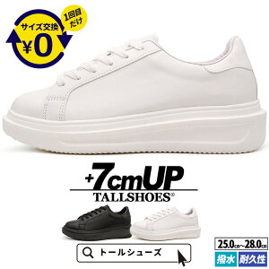 V[NbgV[Y Y Xj[J[ 7cmUP  g[V[Y TALLSHOES  ϋv y ʋC 2E ubN zCg gAbv wȂC Xj[J[ V[Y  C 