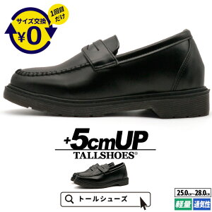 V[NbgV[Y Y [t@[ 5cmUP  g[V[Y TALLSHOES RC[t@[  y ʋC ubN gAbv ꃍ[t@[ Y V[Y  C rWlX 