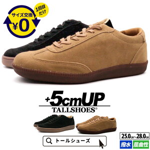 V[NbgV[Y Y Xj[J[ 5cmUP  g[V[Y TALLSHOES XG[h  Ȑ y ʋC ubN x[W gAbv Xj[J[ Y V[Y  C 