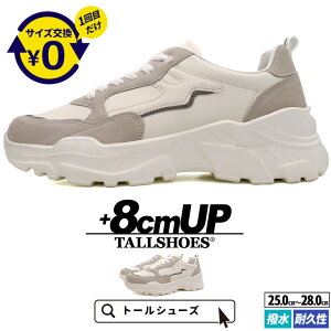 V[NbgV[Y Y Xj[J[ 8cmUP  g[V[Y TALLSHOES  ϋv y ʋC 2E zCg gAbv wȂC Xj[J[ V[Y  C _bhX