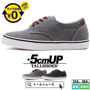 V[NbgV[Y Xj[J[  傫߂̒~ g[V[Y Y V[NbgXj[J[ wȂC [Jbg C YXj[J[ amC Xj[J[ g