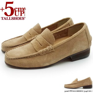 V[NbgV[Y  vC g[V[Y Y 5cm [t@[ wȂC C amC gAbv q[AbvV[Y YC JWA tallshoes V[NbgC グ