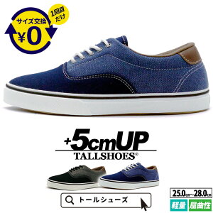 V[NbgV[Y Y Xj[J[ 5cmUP  g[V[Y TALLSHOES fj  y Ȑ ʋC ubN lCr[ gAbv wȂC Xj[J[ JWA V