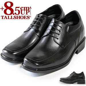 V[NbgV[Y  vC g[V[Y rWlXXj[J[ 8.5cm rWlXV[Y wȂC C amC gAbv {v q[AbvV[Y YC tallshoes V[N