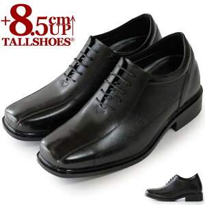V[NbgV[Y  vC g[V[Y rWlXXj[J[ 8.5cm rWlXV[Y wȂC C amC gAbv {v q[AbvV[Y YC tallshoes V[N