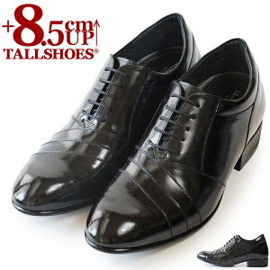 V[NbgV[Y  vC g[V[Y rWlXXj[J[ 8.5cm rWlXV[Y wȂC C amC gAbv {v q[AbvV[Y YC tallshoes V[N