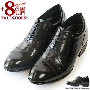 V[NbgV[Y  vC g[V[Y rWlXXj[J[ 8cm rWlXV[Y wȂC C amC gAbv {v q[AbvV[Y YC tallshoes V[N
