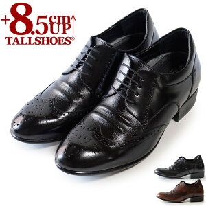 V[NbgV[Y  vC g[V[Y rWlXXj[J[ 8.5cm rWlXV[Y wȂC C amC gAbv {v q[AbvV[Y YC tallshoes V[N