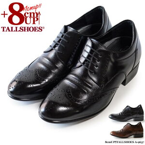 V[NbgV[Y  vC g[V[Y rWlXXj[J[ 8cm rWlXV[Y wȂC C amC gAbv {v q[AbvV[Y YC tallshoes V[N