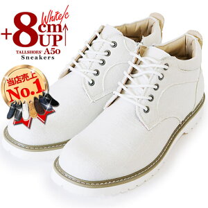 V[NbgV[Y Xj[J[  傫߂̒~ g[V[Y Y V[NbgXj[J[ wȂC ~hJbg C YXj[J[ amC Xj[J[ g