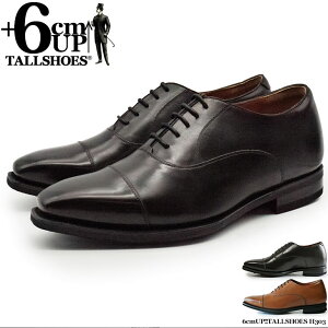 V[NbgV[Y  vC g[V[Y rWlXXj[J[ 6cm rWlXV[Y wȂC C amC gAbv {v q[AbvV[Y YC tallshoes V[N