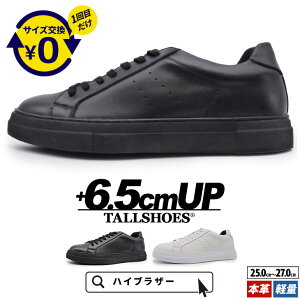 V[NbgV[Y Xj[J[  傫߂̒~ g[V[Y Y V[NbgXj[J[ wȂC [Jbg C YXj[J[ amC Xj[J[ gA