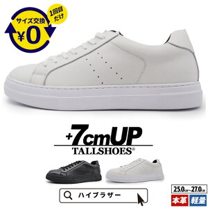 V[NbgV[Y Xj[J[  傫߂̒~ g[V[Y Y V[NbgXj[J[ wȂC [Jbg C YXj[J[ amC Xj[J[ gA