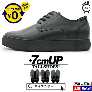 V[NbgV[Y  vC g[V[Y 7cm rWlXXj[J[ wȂC C amC gAbv vC  vCXj[J[ q[AbvV[Y 