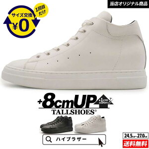 V[NbgV[Y Xj[J[  傫߂̒~ g[V[Y Y V[NbgXj[J[ wȂC nCJbg vC C YXj[J[ C amC Xj[J