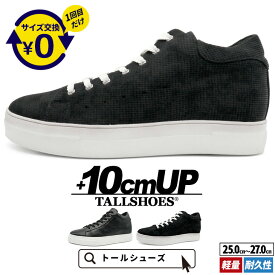 シークレットシューズ 厚底 スニーカー トールシューズ 10cm 身長アップ 身長が盛れる 底上げ シークレット靴 メンズ