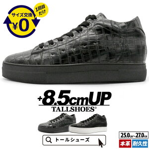 V[NbgV[Y Xj[J[  U[Xj[J[ 傫߂̒~ g[V[Y Y V[NbgXj[J[ wȂC nCJbg vC C YXj[J[ C a