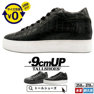 V[NbgV[Y Xj[J[  U[Xj[J[ 傫߂̒~ g[V[Y Y V[NbgXj[J[ wȂC nCJbg vC C YXj[J[ C a