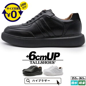 V[NbgV[Y Xj[J[  傫߂̒~ g[V[Y Y V[NbgXj[J[ wȂC [Jbg vC C YXj[J[ amC Xj[J[ 