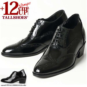 V[NbgV[Y  vC g[V[Y rWlXXj[J[ 12cm rWlXV[Y C amC gAbv {v q[AbvV[Y YC tallshoes V[NbgC グ 