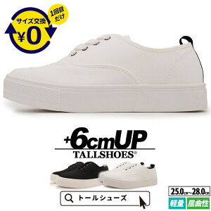 V[NbgV[Y Xj[J[  傫߂̒~ g[V[Y wȂC Y V[NbgXj[J[ [Jbg C YXj[J[ JWA C amC X