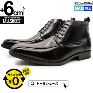 V[NbgV[Y  u[c g[V[Y 6cm gAbv g グ V[NbgC Y