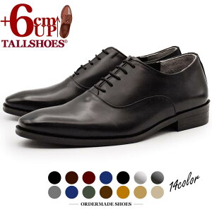 V[NbgV[Y  vC g[V[Y 6cm rWlXV[Y C amC gAbv wȂC nCq[  {v q[AbvV[Y YC tallshoes V