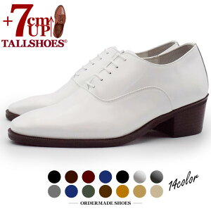 V[NbgV[Y  vC g[V[Y 7cm rWlXV[Y C amC gAbv wȂC nCq[  {v q[AbvV[Y YC tallshoes V