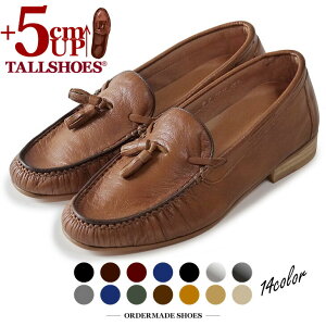 V[NbgV[Y  vC g[V[Y Y 5cm [t@[ wȂC C amC gAbv q[AbvV[Y YC JWA tallshoes V[NbgC グ
