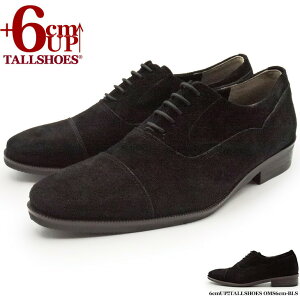 V[NbgV[Y  vC g[V[Y 6cm rWlXV[Y C amC gAbv wȂC XG[hC  {v q[AbvV[Y YC tallshoes V