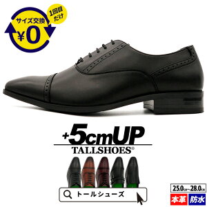 V[NbgV[Y  vC g[V[Y wȂC rWlXXj[J[ 5cm rWlXV[Y C amC gAbv {v q[AbvV[Y nCq[ YC tallsho