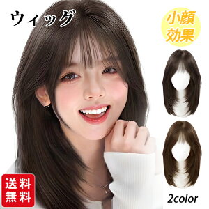 EBbO  Jc lH ~fBA Xg[gR tEBbO {u V[g Z~O C[ fB[X   