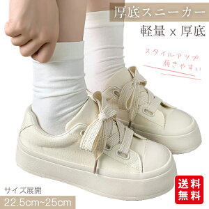  Xj[J[ fB[X LoXV[Y C EH[LOV[Y [Jbg  C [XAbv ʋC h x[VbN ʊw