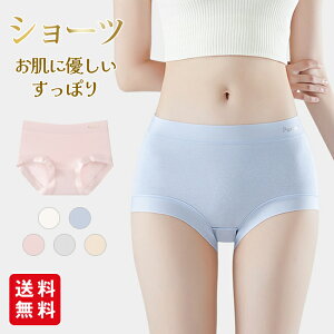 V[c fB[X pc tBbg fC[   Ci[  pc ZNV[ Kۂ ɗD