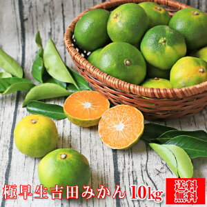 みかん10kgの通販 価格比較 価格 Com みかん10kgの通販 価格比較 価格 Com