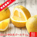 【傷ゴ 15】傷あり宇和島ゴールド 15kg 【ちび玉多めサイズ込・傷あり・葉傷・枝傷・黒点のあるものが含まれます】【愛媛県産】【送料無料】河内晩柑 美生柑 愛...