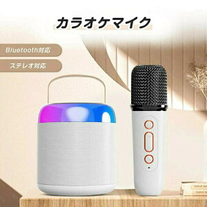 �}�C�N�Z�b�g �z�[���J���I�P Bluetooth�Ή� ���C�����X�}�C�N2�{ �����}�C�N �~�j�X�s�[�J�[ �X�s�[�J�[ KTV �|�[�^�u�� PA�Z�b