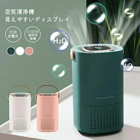 HEPAフィルター 充電式 USB 浄化 空気清浄 清浄 花粉 脱臭 ほこり 省エネ 脱臭機 コードレス 除去 小型