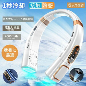 Type-C�}���[�d LCD�t���f�B�X�v���C ����5�i�K���� �d��?�����\�� �H���Ȃ�4000mAh��e��