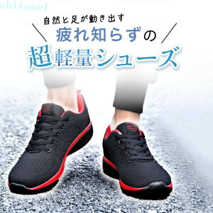 �Ƒ� �V���[�Y �X�j�[�J�[ 4�F ���� �E�H�[�L���O 23.0cm�`31cm �Ƃɂ����y�� �ʋ� ���̓� �v���[���g ��̓� �W���M���O �M�t�g
