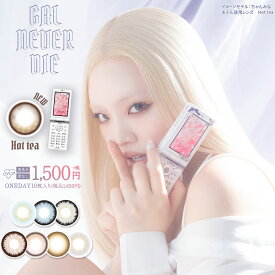 GAL NEVER DIE ギャルネバーダイ 1day 14.2mm 14.5mm 1箱10枚 ちゃんみな ワンデーカラコン カラーコンタクト 度あり 度なし ギャル 派手 ブラウン グレー