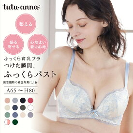 [ふっくら育乳ブラ]ネオアドアステラブラ(A〜Hカップ) 補正ブラ 谷間 脇高 脇肉 ブラジャー 単品 ボリュームアップ 寄せる 盛る 大きいサイズ 下着 送料無料