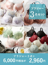 ブラ3枚入り福袋