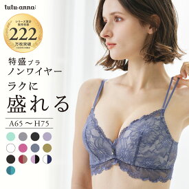 【期間限定10%OFFタイムSALE 11/11 1:59迄】【送料無料】[特盛ブラ・ノンワイヤー]シャルマンノワールブラ(A〜Hカップ) ブラジャー 単品 かわいい 痛くない 谷間 盛る ボリュームアップ 脇高 脇肉 大きいサイズ