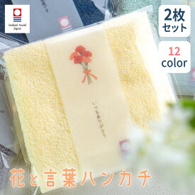 【選べる2枚セット】タオルハンカチ メンズ レディース 今治 ギフト プチギフト 個包装 引越し 退職 お礼 ホワイトデー 父の日 母の日 誕生日 おしゃれ かわい 25cm TUTUMIMONO