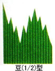 [Ɩp]o 1/2^ 2000@ٓ̌f/d؂/HސڐGh~ɁBPẼoBٓ̂̎d؂ɕ֗łB