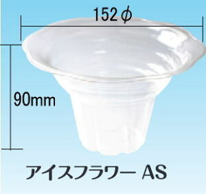 ACXt[AS(vXJbv)200̂킢EȃJbv(Rbv)Ɩp/500ml/ĝĐHie(Hip/e///ꕨ/)p[eB[ECxg(w/Ղ/