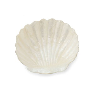 JsXVF{EJsXLŊLǩ`ǂA[߂̏feeltheseaCG݁A썑eCXgiAC݃r[`tB[UV[ߕi